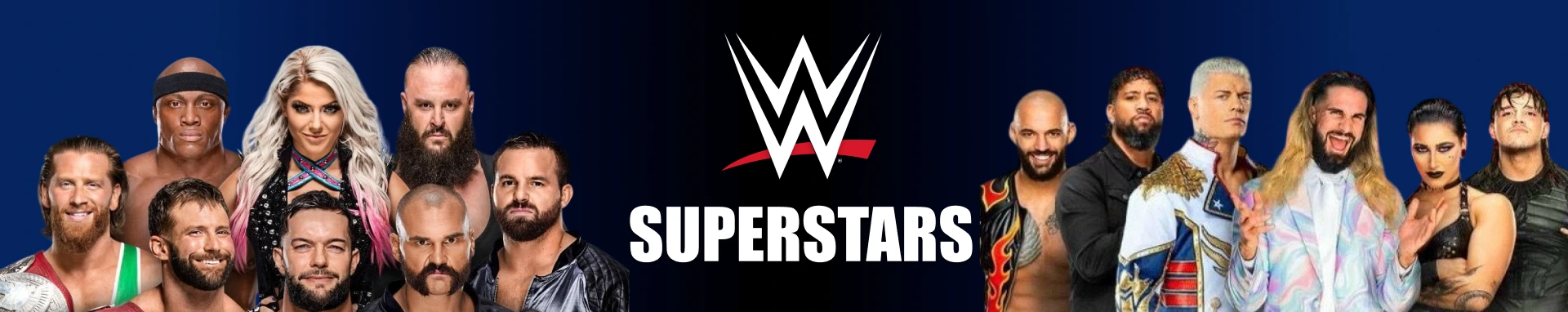 WWE Banner